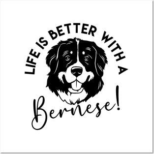 Bernese mountain dog Posters and Art